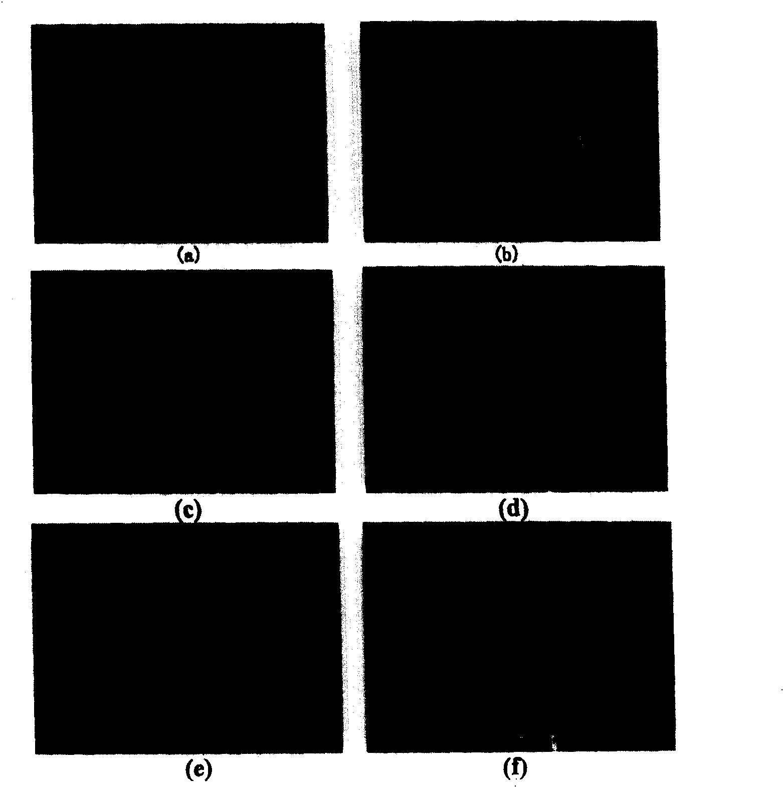 Multisensor image fusion method based on optimized small wave filter set