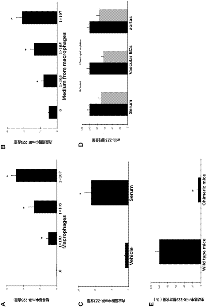 Application of miR-223 or inhibitor thereof in product or drug of kawasaki disease diagnosis and therapy