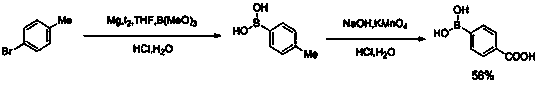 Preparation method of p-carboxyphenylboronic acid