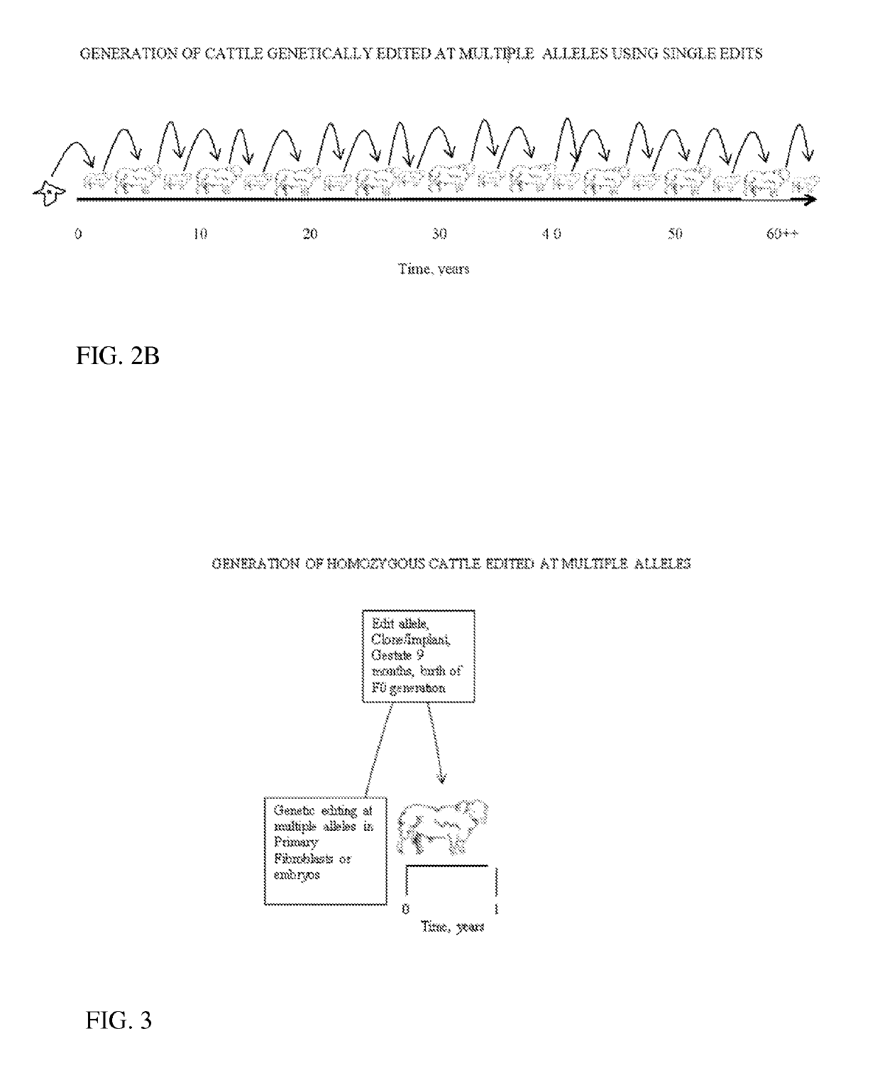 Engineering of Humanized Kidney by Genetic Complementation