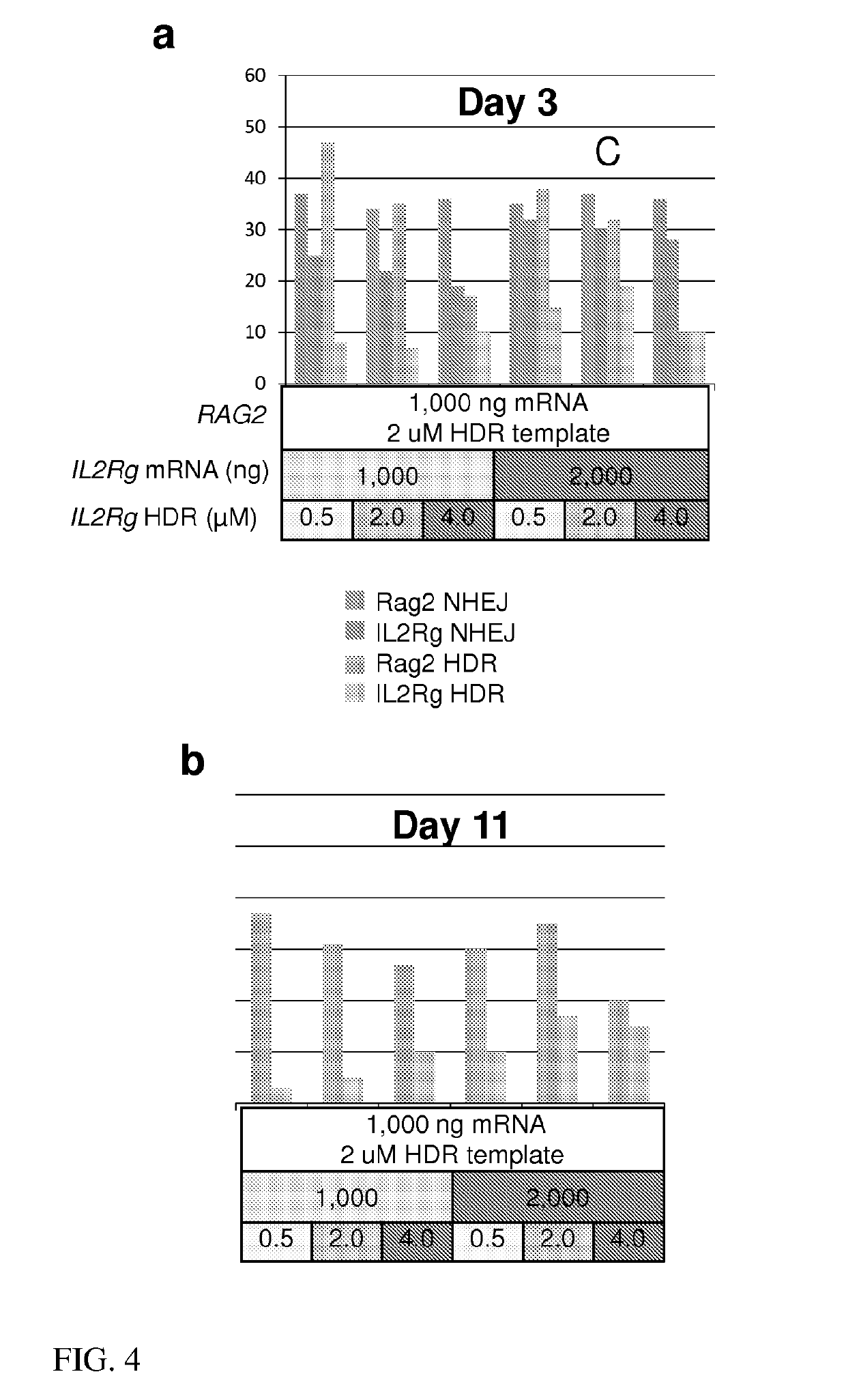 Engineering of Humanized Kidney by Genetic Complementation