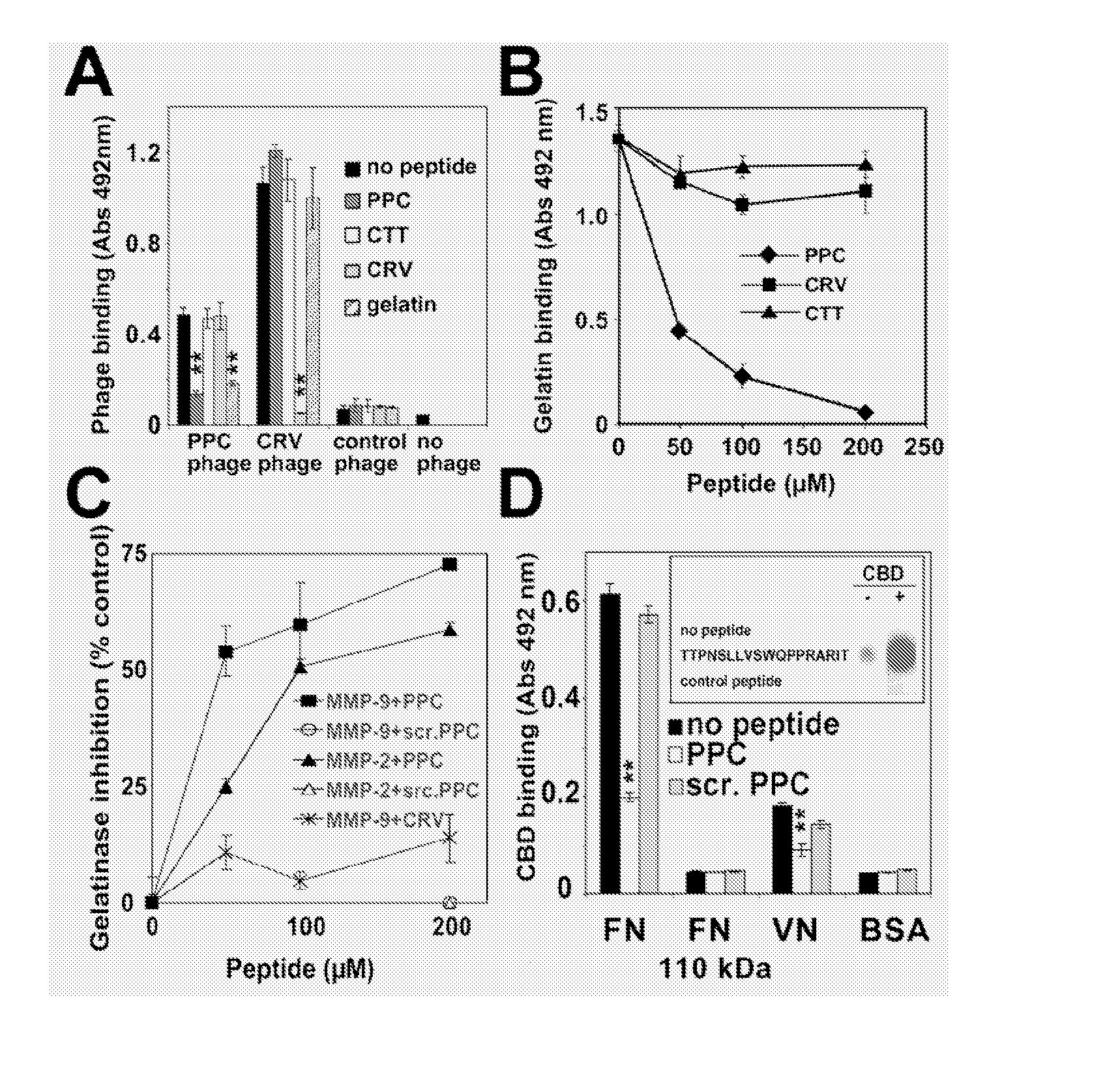 Peptide Inhibitors of Matrix Metalloproteinase Activity