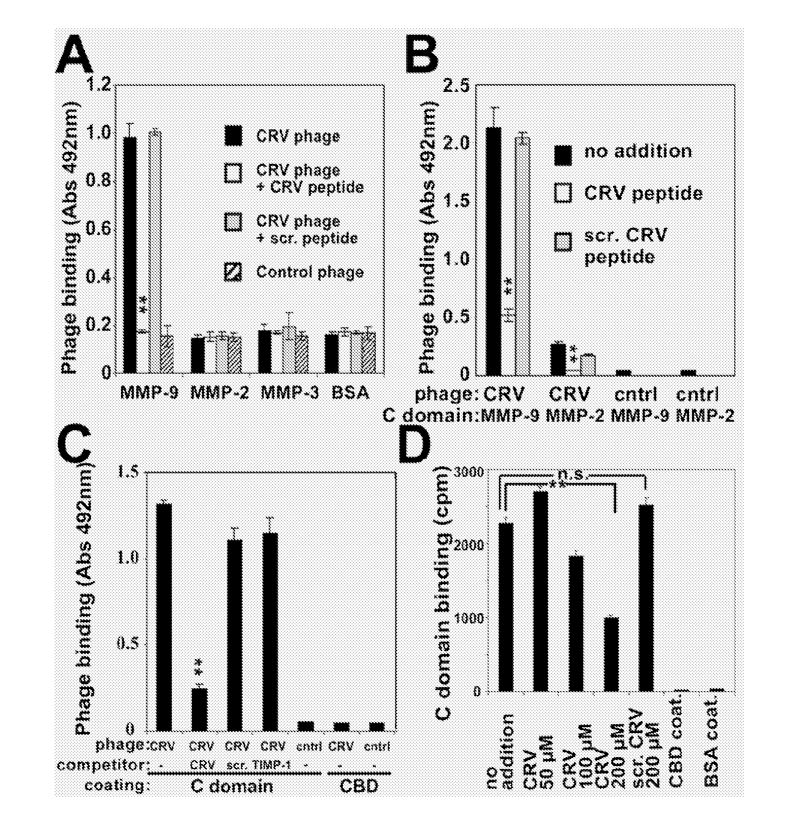 Peptide Inhibitors of Matrix Metalloproteinase Activity