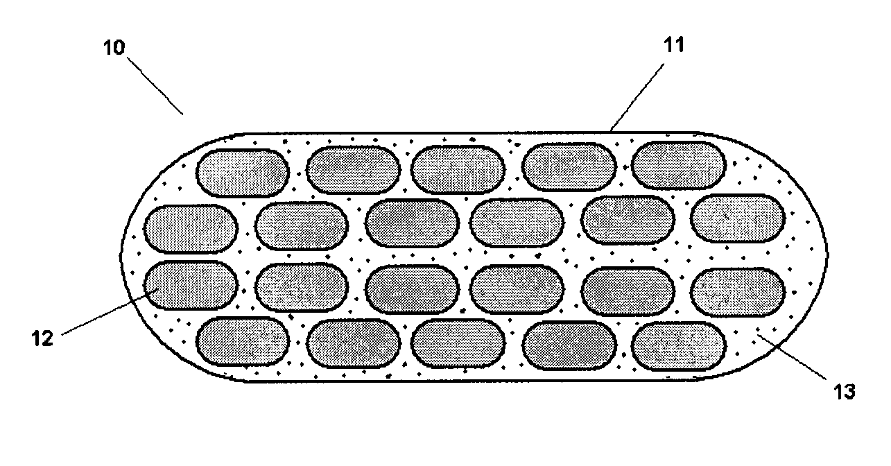 Pharmaceutical Composition Comprising A Plurality of Mini-Tablets Comprising A Factor XA Inhibitor