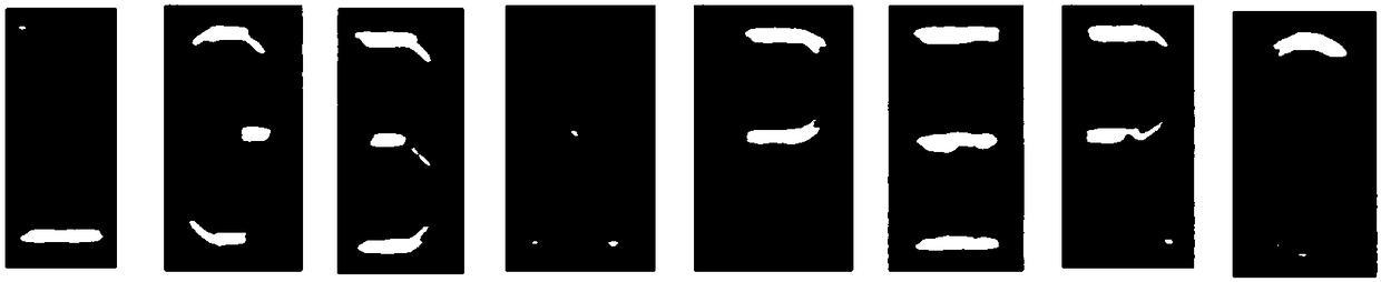 A Method of Edge Extraction and Edge Fitting Based on Structural Features of Optical Scribing Characters