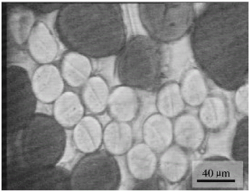 PBT-PET (Polybutylece Terephthalate-Polyethylene Terephthalate) composite elastic fibers and preparation method of PBT-PET composite elastic fibers