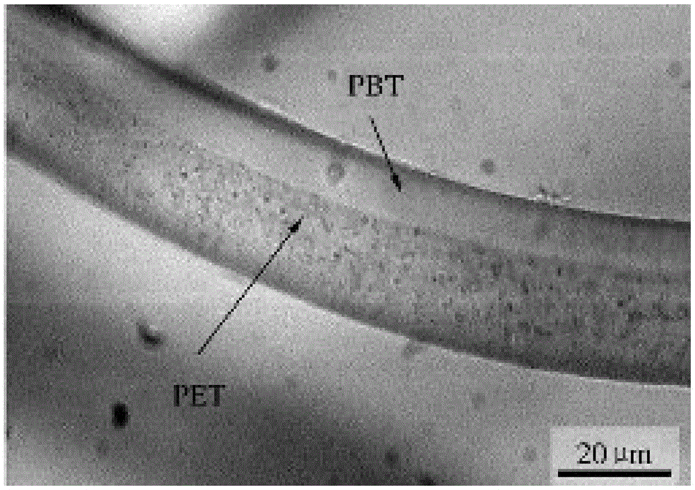 PBT-PET (Polybutylece Terephthalate-Polyethylene Terephthalate) composite elastic fibers and preparation method of PBT-PET composite elastic fibers