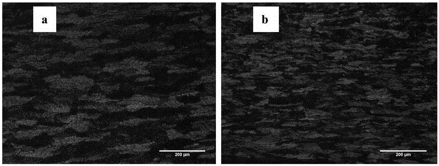 Method for producing double-zero aluminum foil blank by ultrasonic casting and rolling