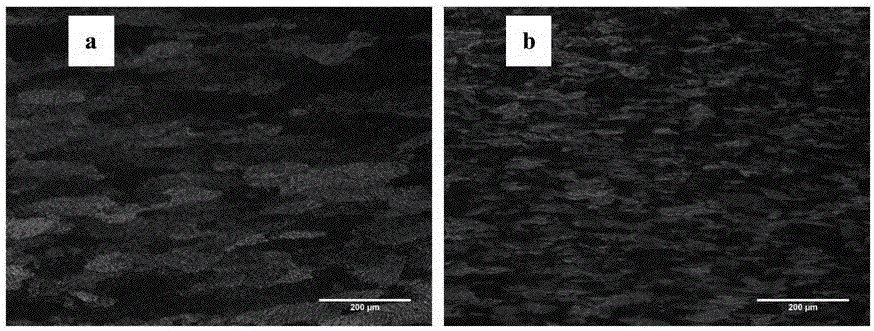 Method for producing double-zero aluminum foil blank by ultrasonic casting and rolling