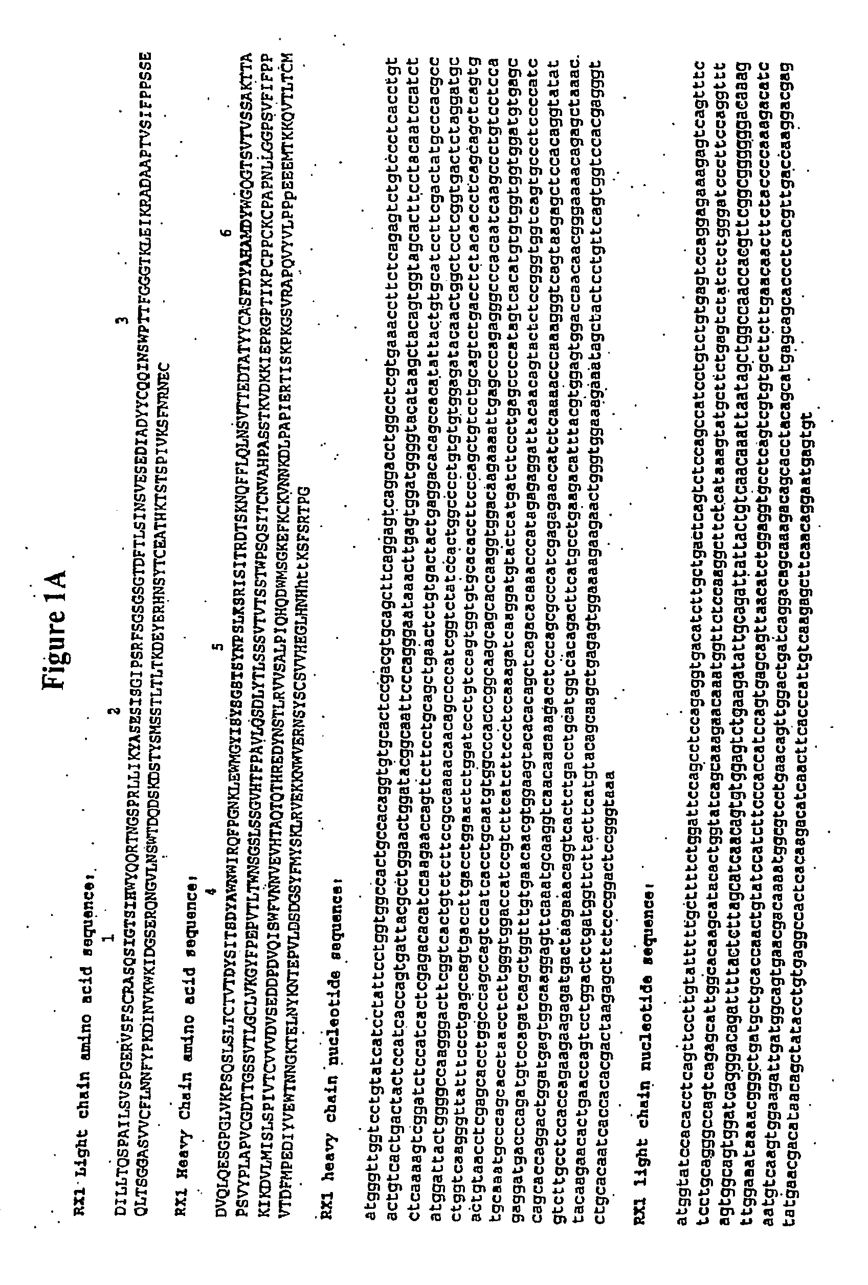 Methods for preventing and treating cancer metastasis and bone loss associated with cancer metastasis