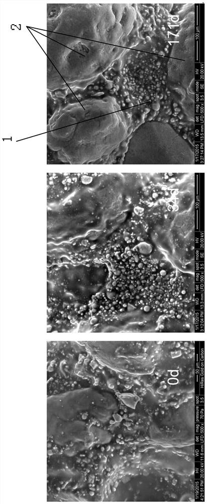 A Consistency Evaluation Method for Composite Solid Propellant Aging Mechanism