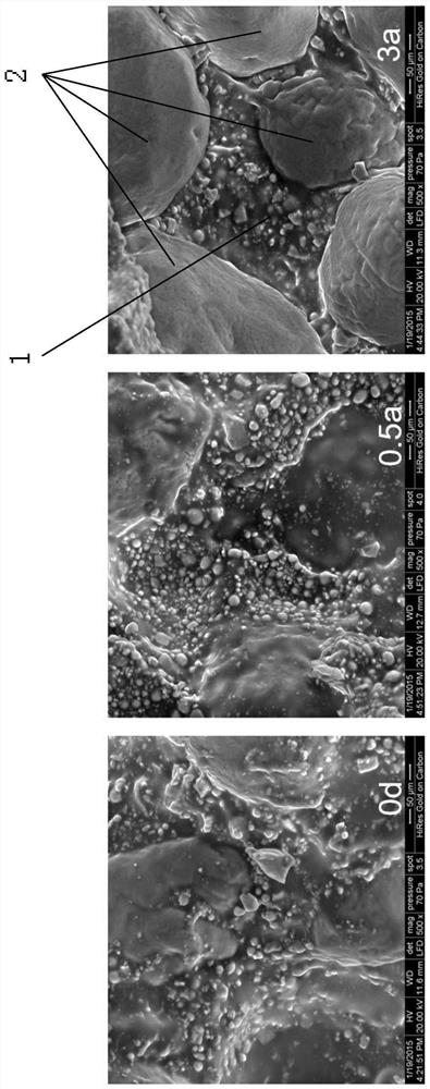 A Consistency Evaluation Method for Composite Solid Propellant Aging Mechanism