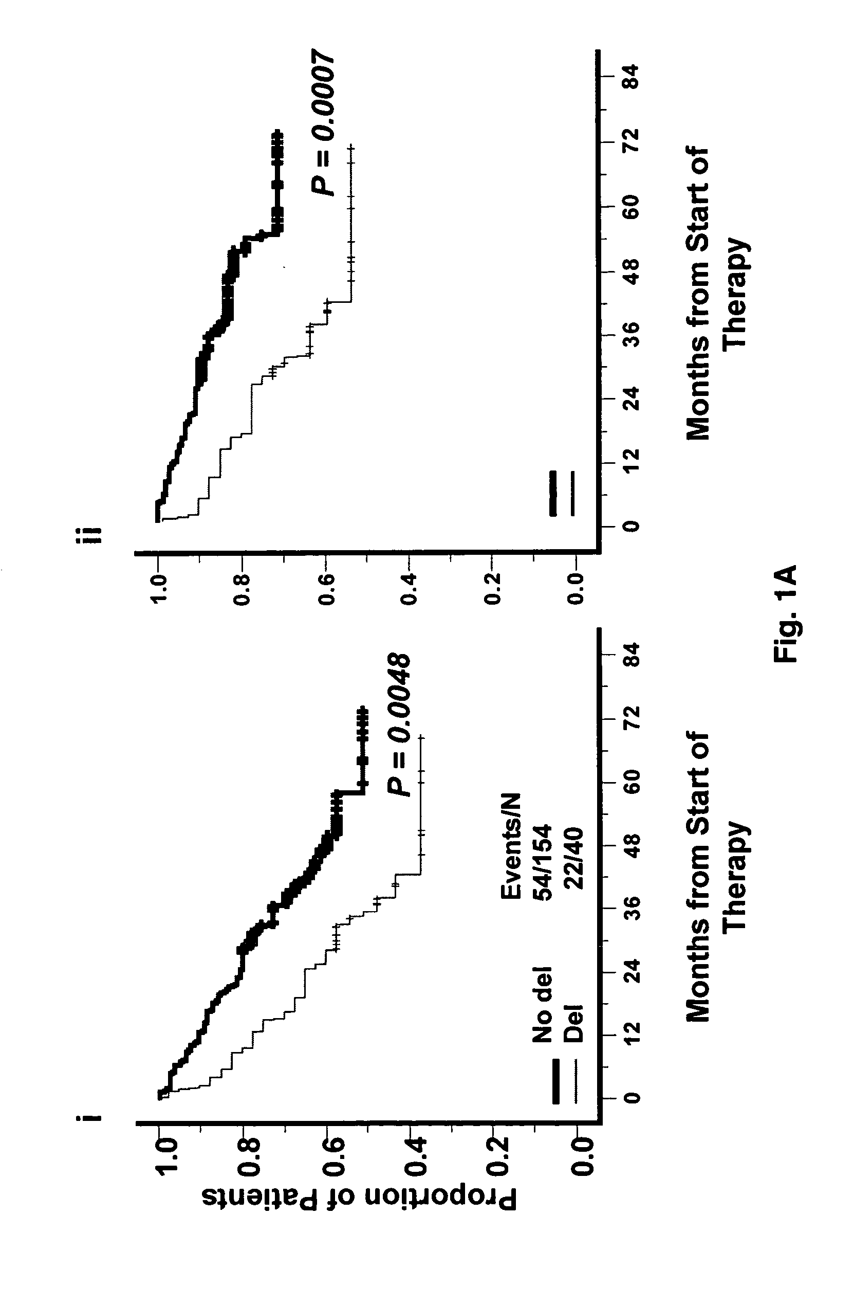 TP53 gene expression and uses thereof