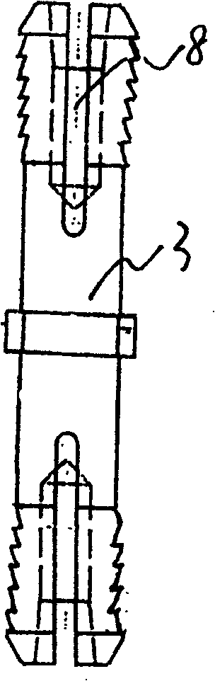 Double-end expansion meshing body pile-connecting end plate and prefab