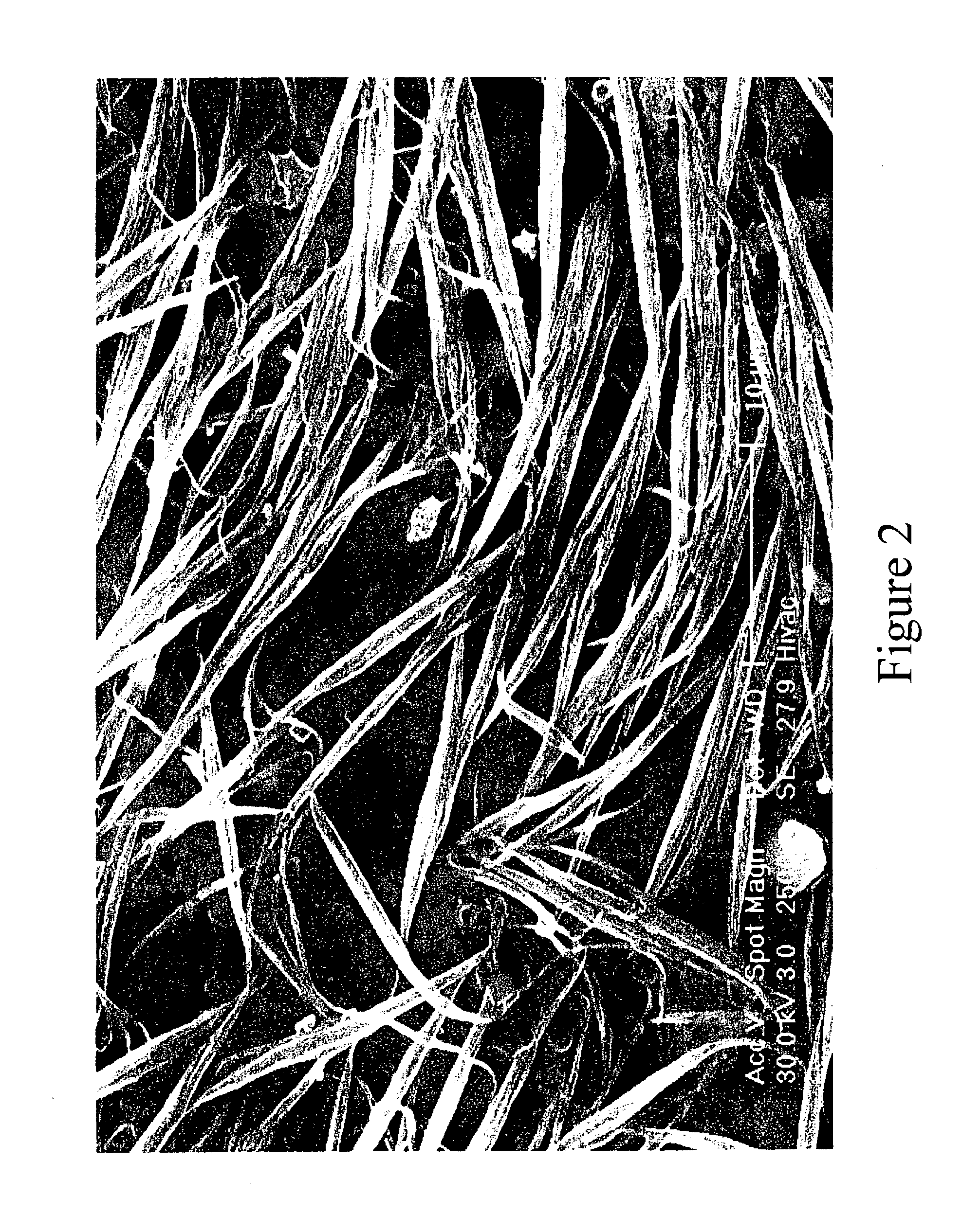 Fibers of aligned single-wall carbon nanotubes and process for making the same