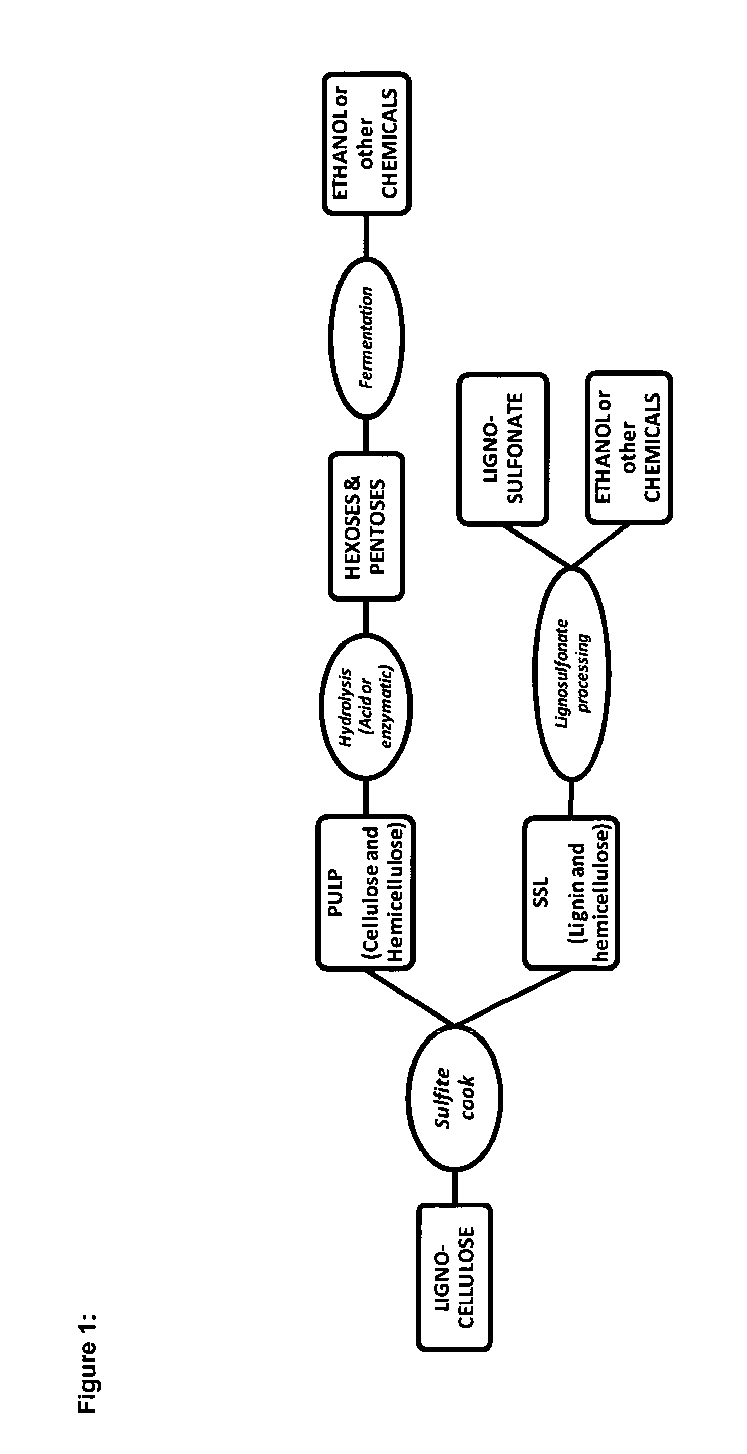 Lignocellulosic biomass conversion