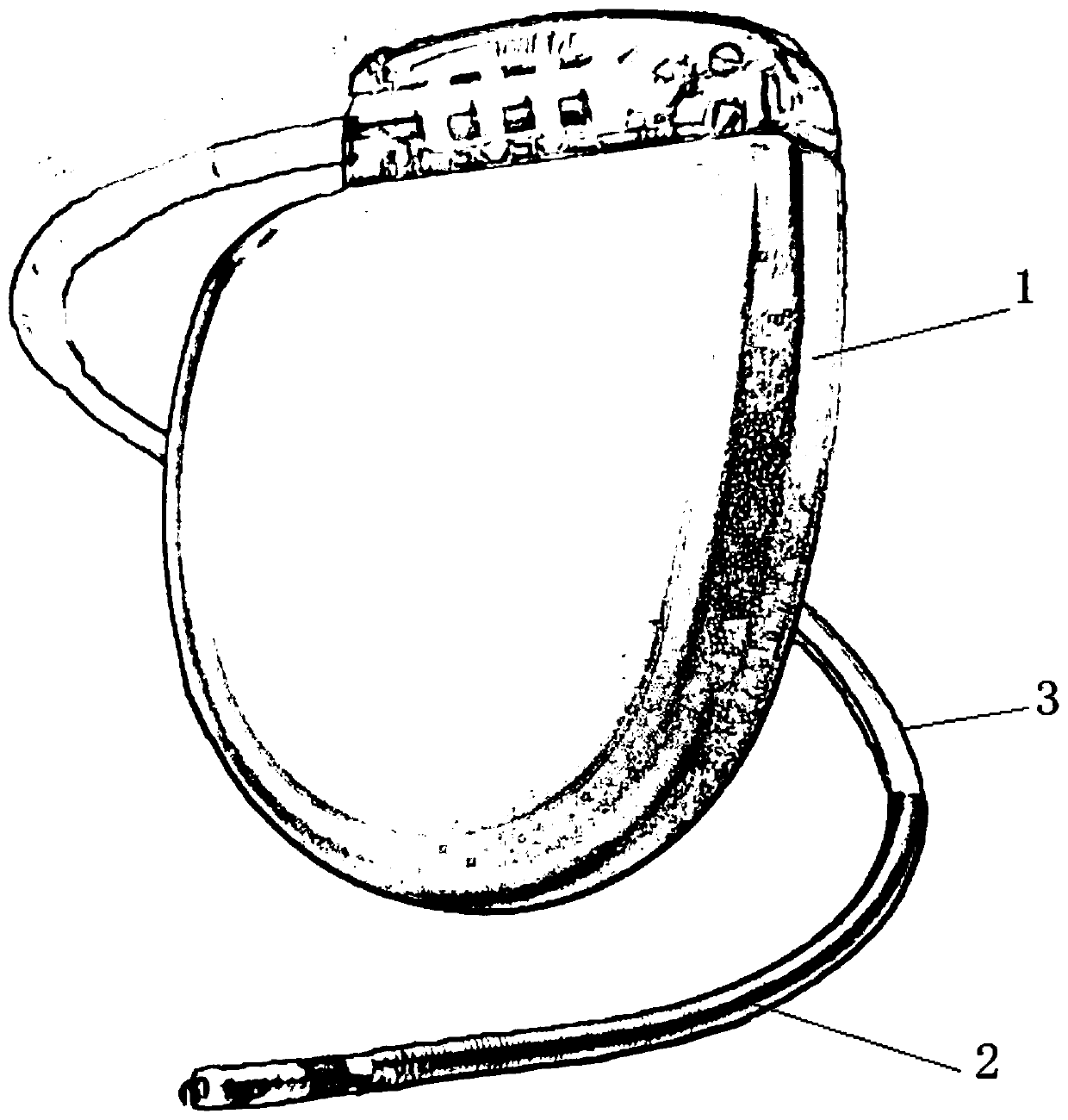 Heart failure animal model for implanting pacemaker through external jugular vein under guidance of B-mode ultrasound