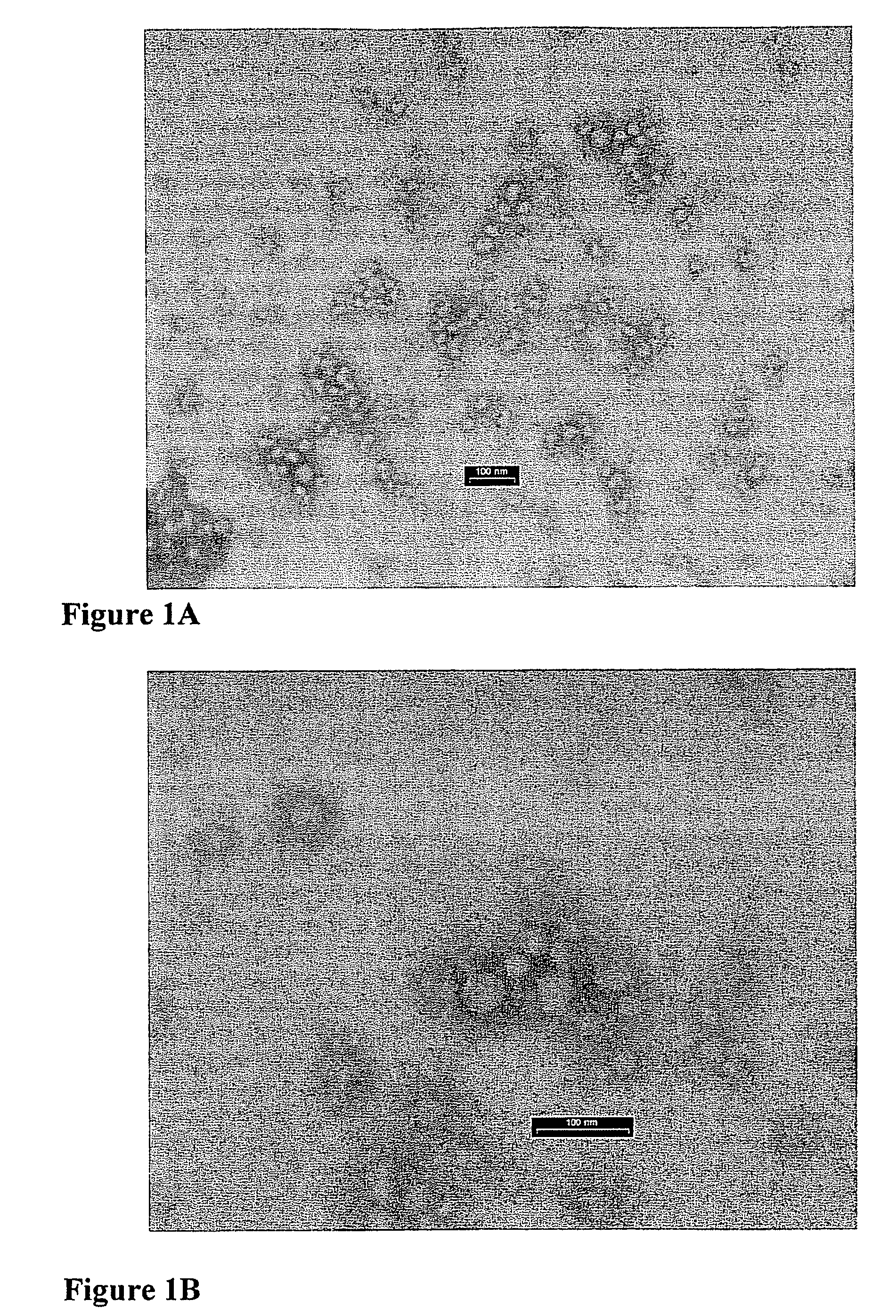 Microspheres comprising nanocapsules containing a lipophilic drug