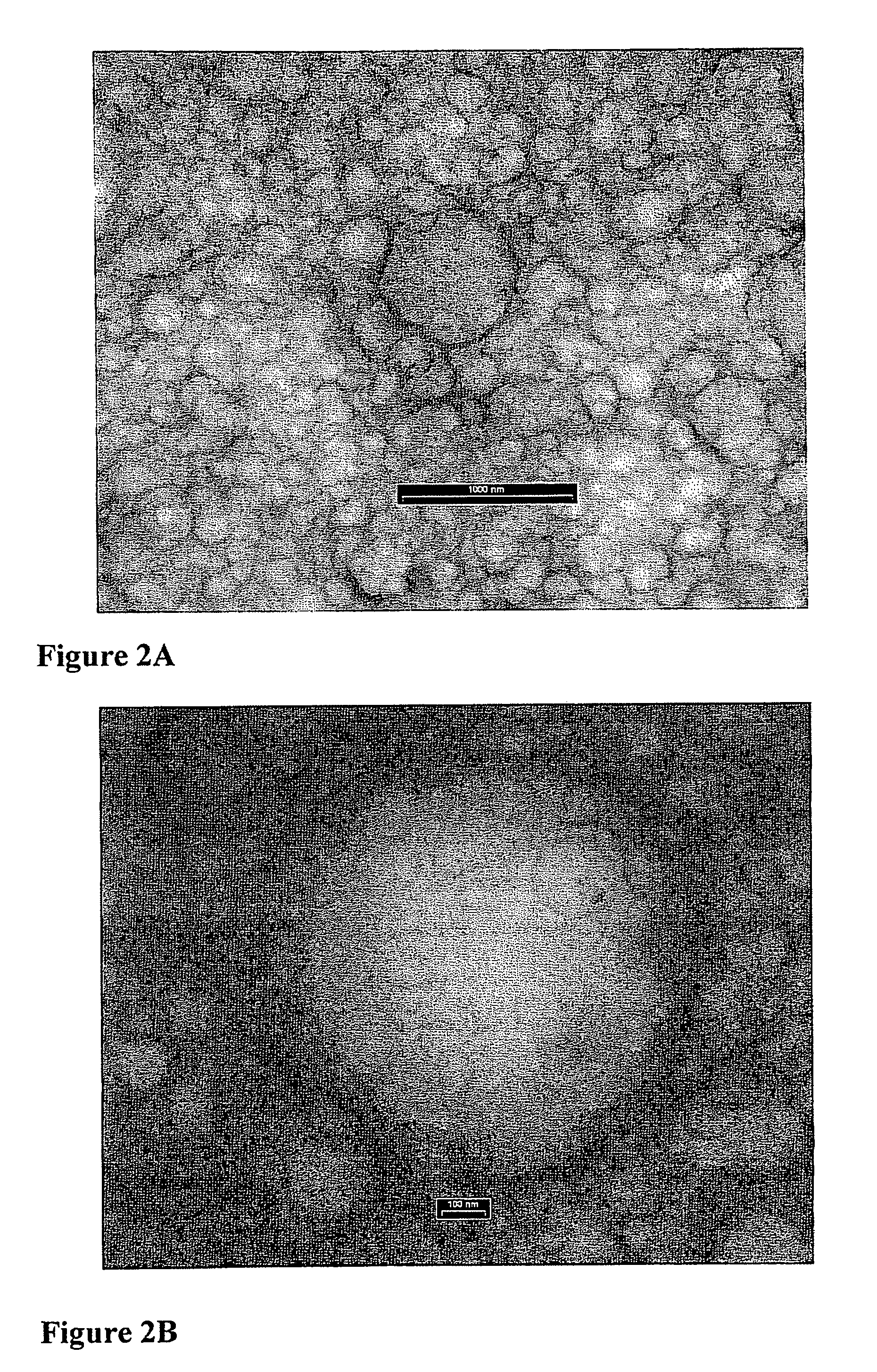 Microspheres comprising nanocapsules containing a lipophilic drug