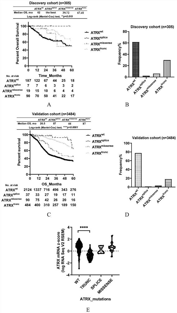 Molecular markers for glioma prognosis typing and typing method and application thereof