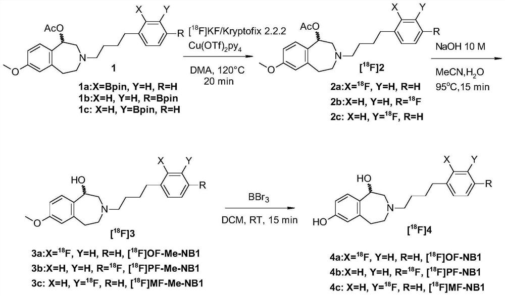 Benzazepin-l,7-diol-derived radiolabeled ligands with high in vivo NMDA specificity