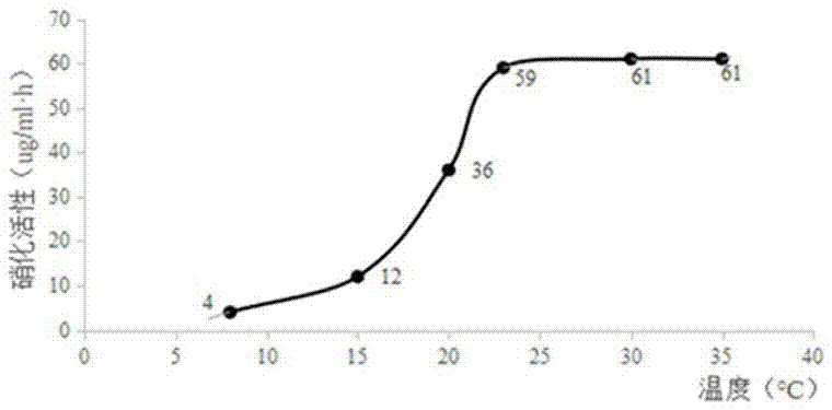 Rapid detection method for nitrification effect of nitrobacteria