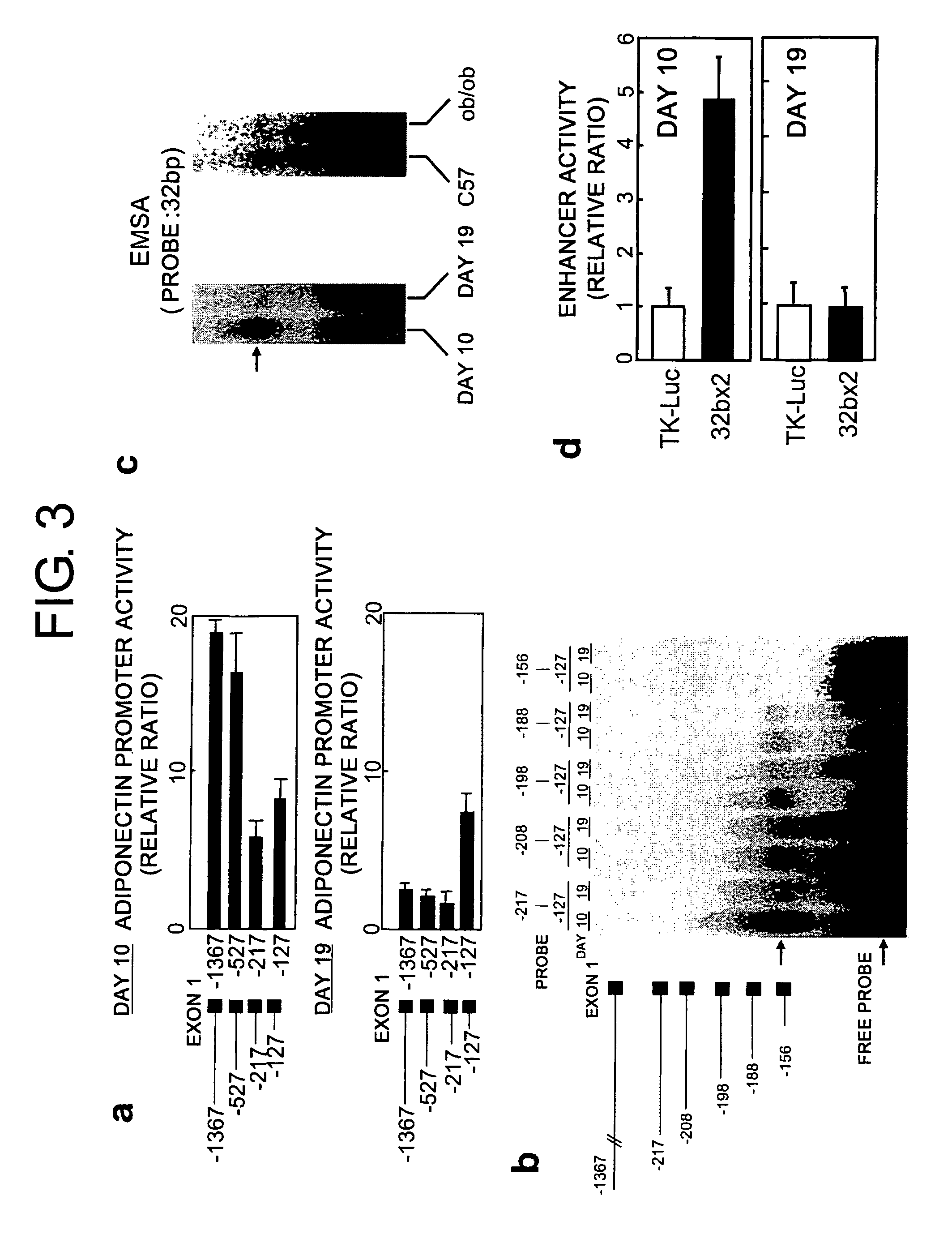 Adiponectin expression-inducing agents and uses thereof