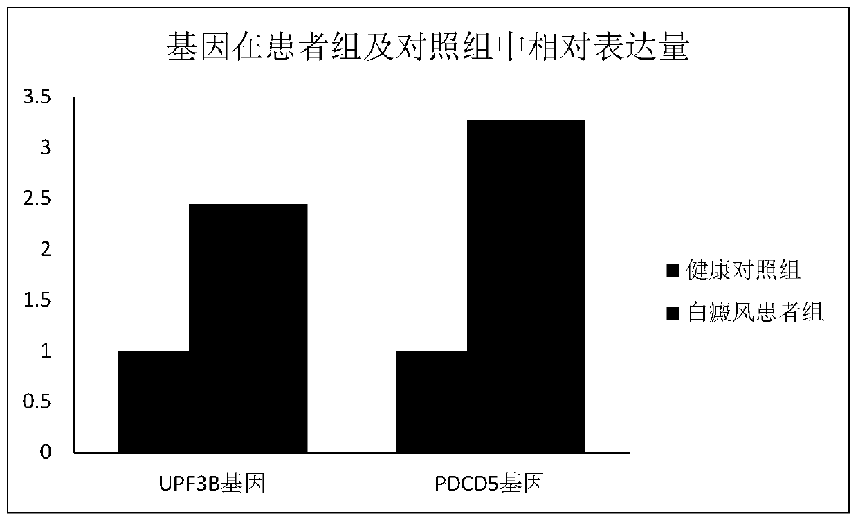 Vitiligo gene detection marker and application thereof