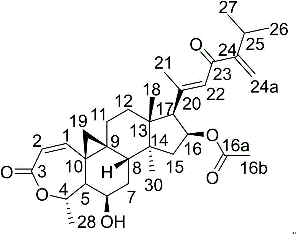 Pharmaceutical composition of aminoglutethimide and medicinal use of pharmaceutical composition of aminoglutethimide in neuroprotection