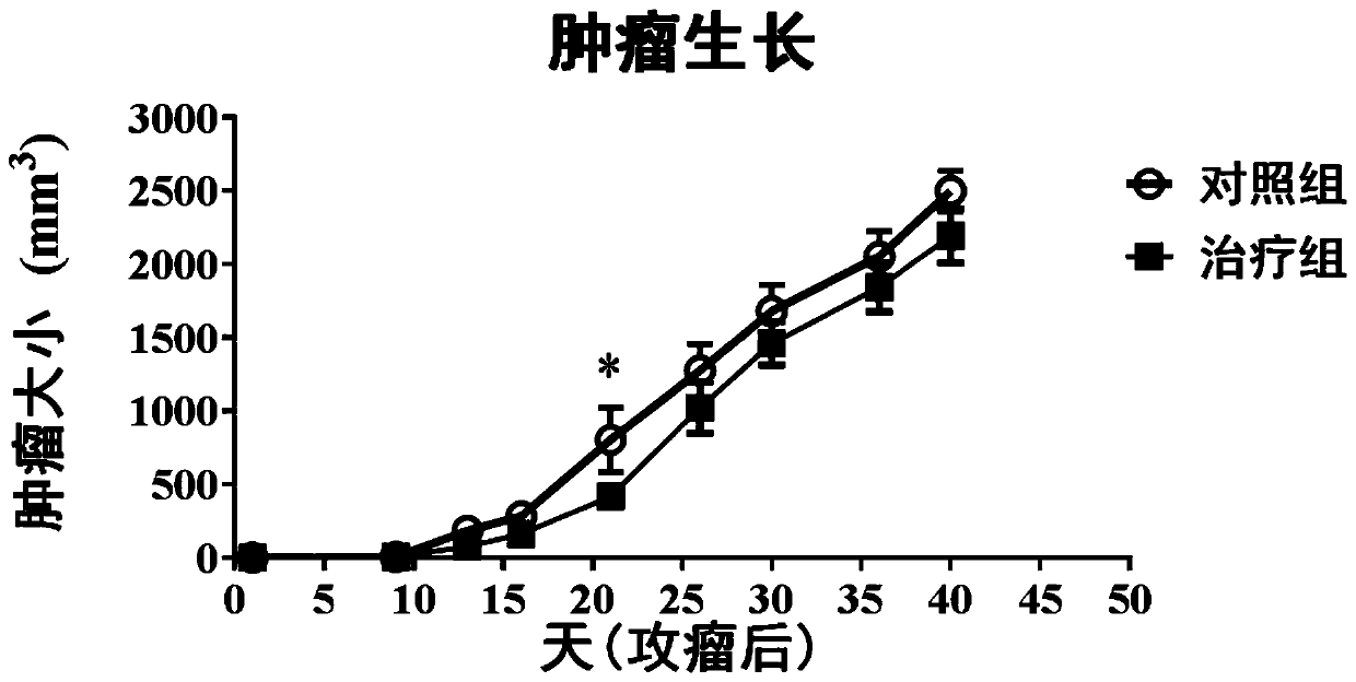 Recombinant virus vector, immune composition containing same, and use