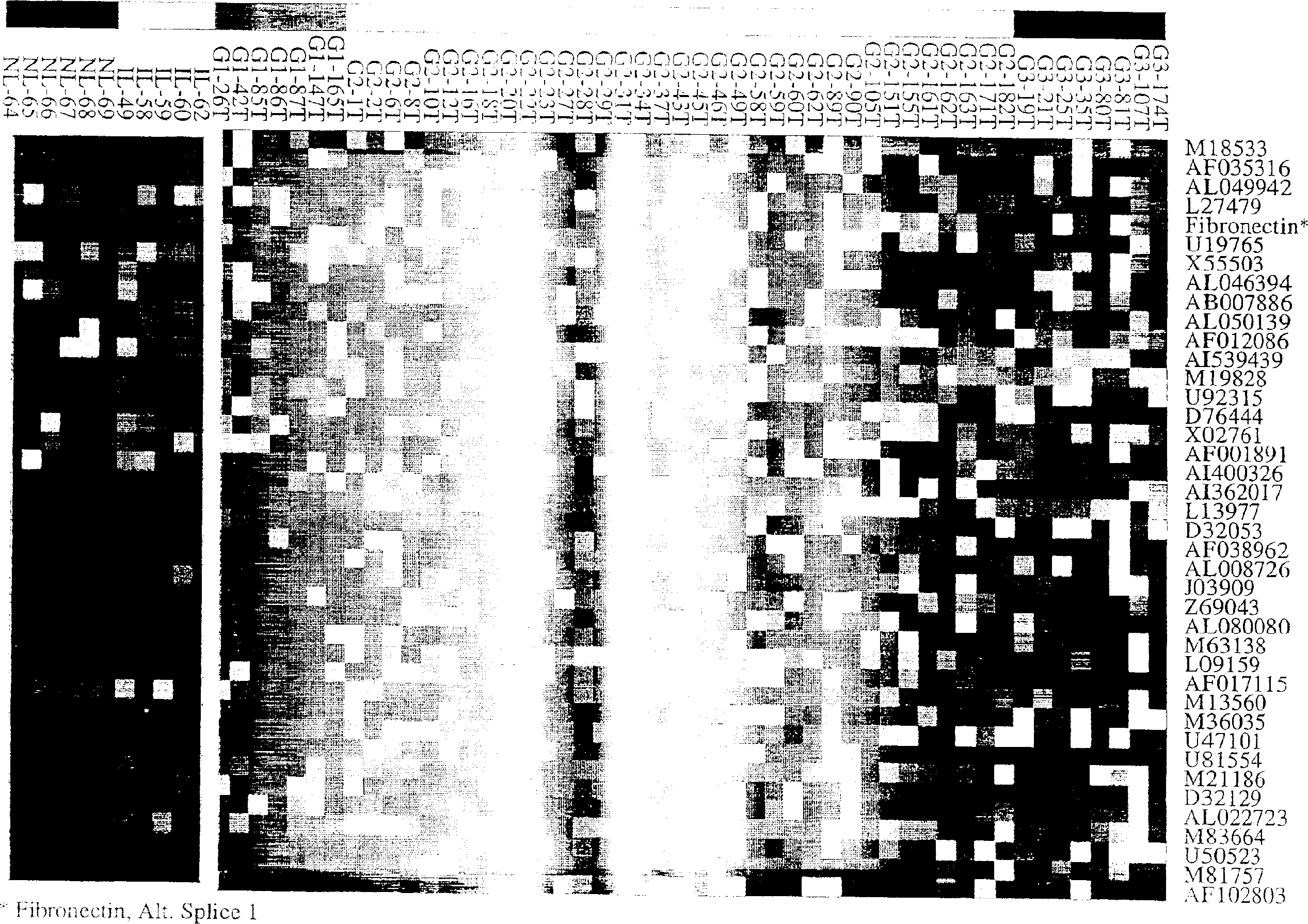 Method for confirming tumour differentiation grade