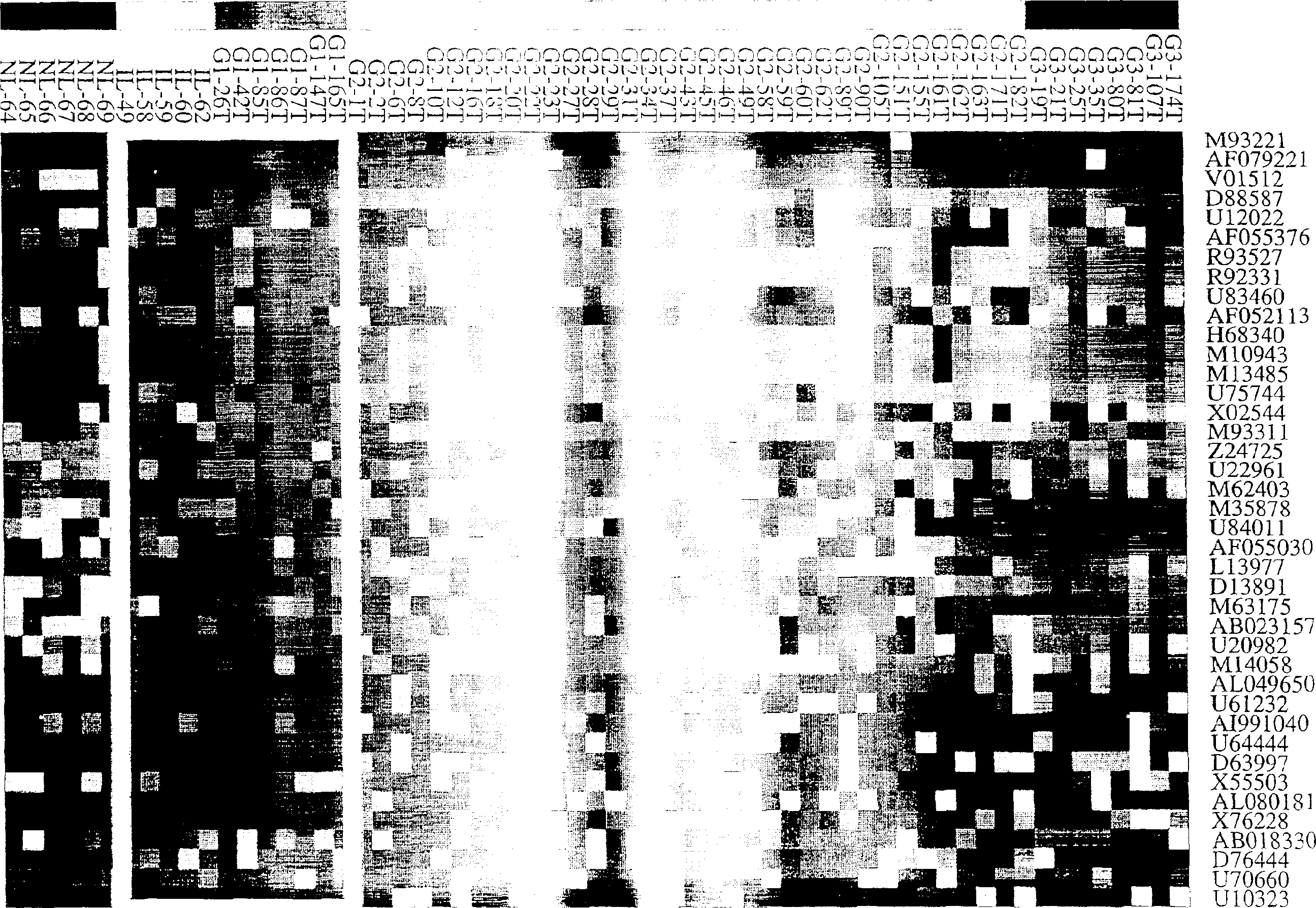 Method for confirming tumour differentiation grade