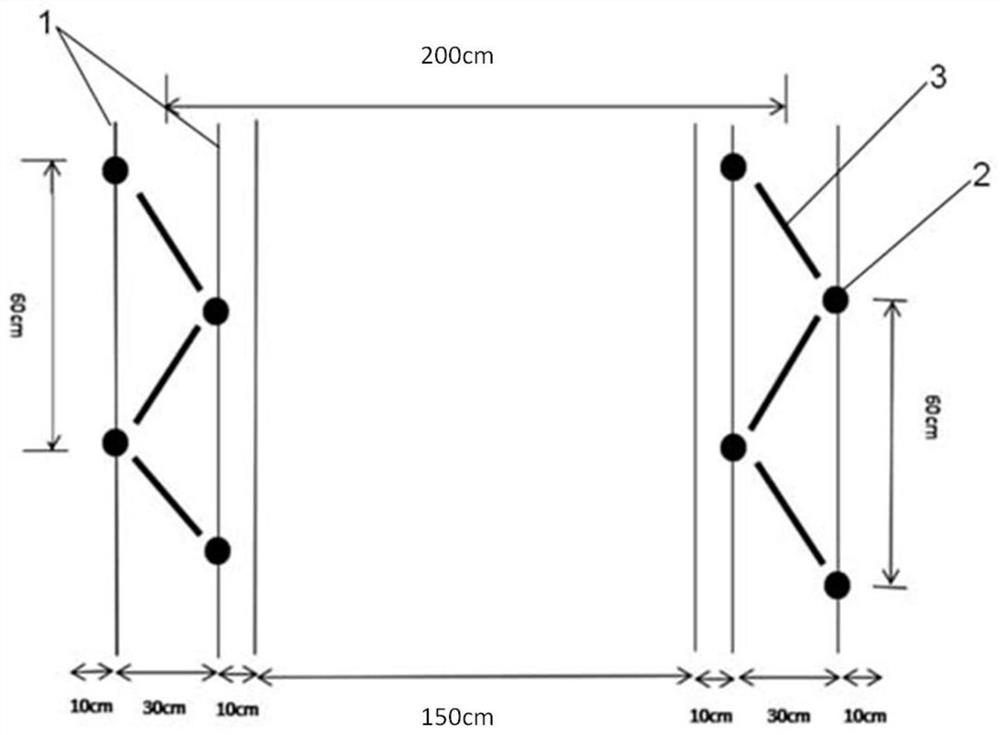 A double-row staggered layering method