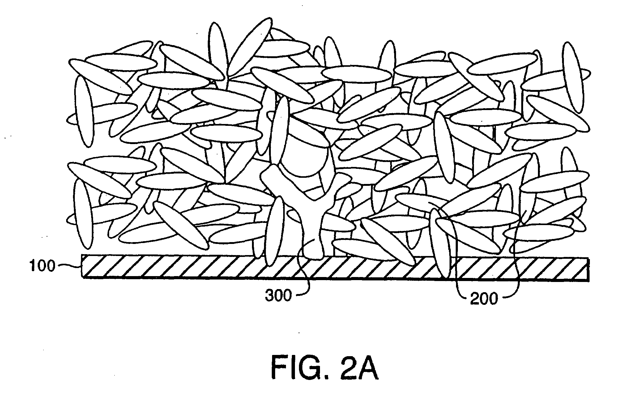 Substrates, devices, and methods for cellular assays