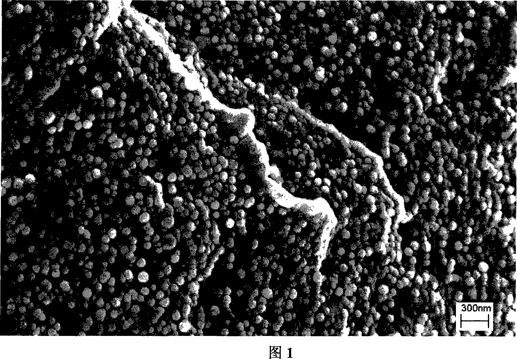 Light degradation antibiotic polylactic acid material and preparation method thereof