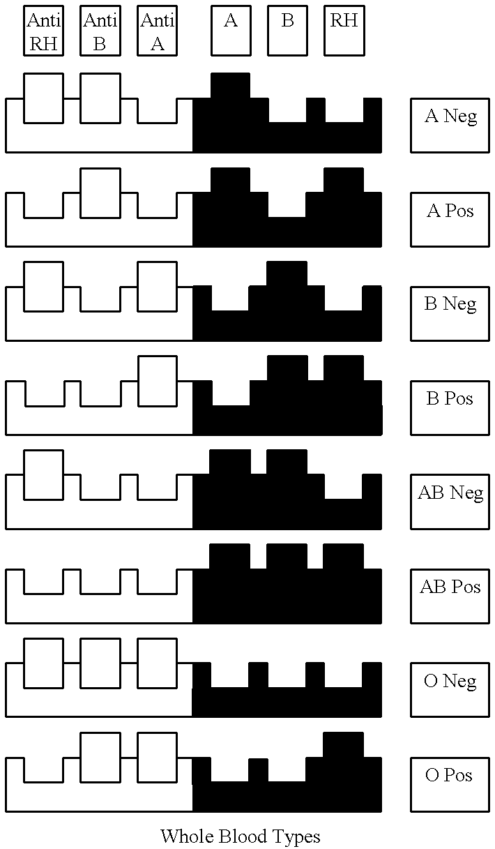 Blood type-specific safety labeling system for patients and blood products