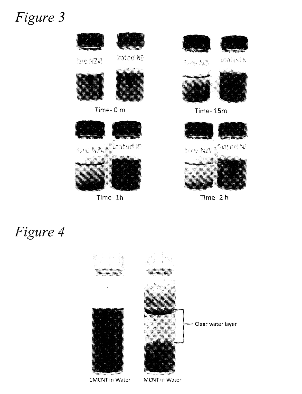 Functionalized amphiphilic plant-based polymers