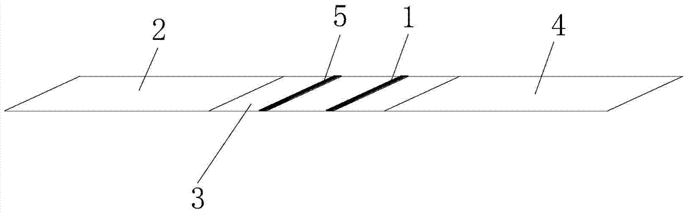 A kind of HCG colloidal gold immunological lateral flow chromatography test strip and its detection method