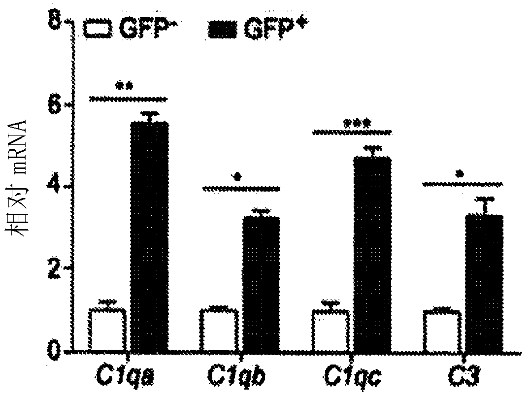 Tumor infiltrating lymphocytes for treatment of cancer