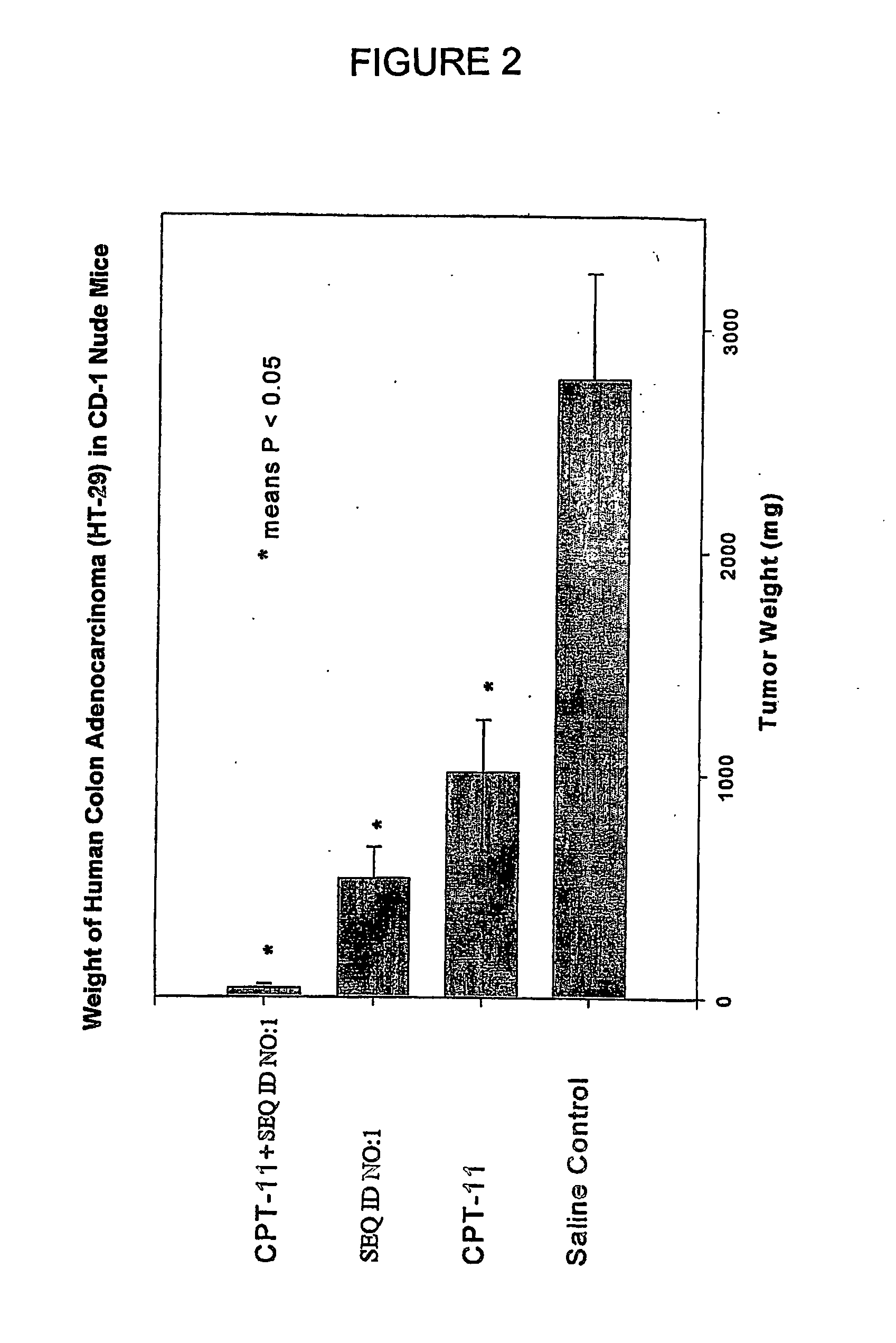 Antisense oligonucleotides directed to ribonucleotide reductase r2 and uses thereof in the treament of cancer