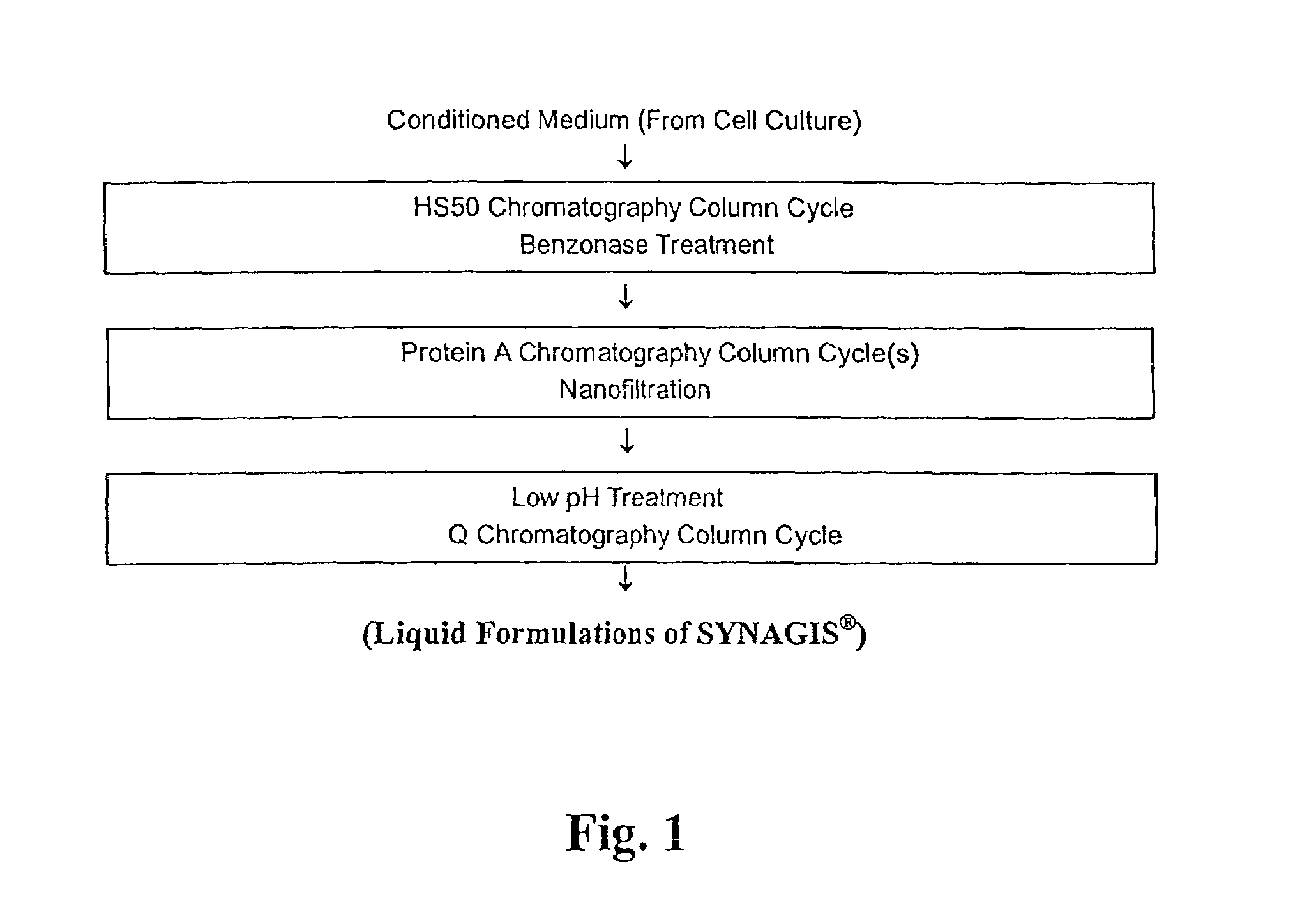 Stabilized liquid anti-RSV antibody formulations