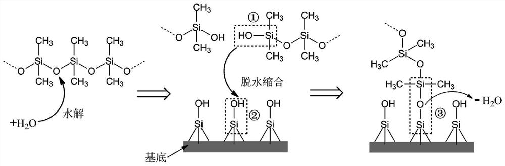 A kind of oil-free super slippery coating and preparation method thereof