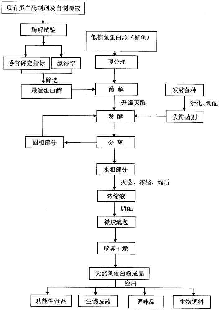 Preparation technology of natural fish protein powder by biological fermentation