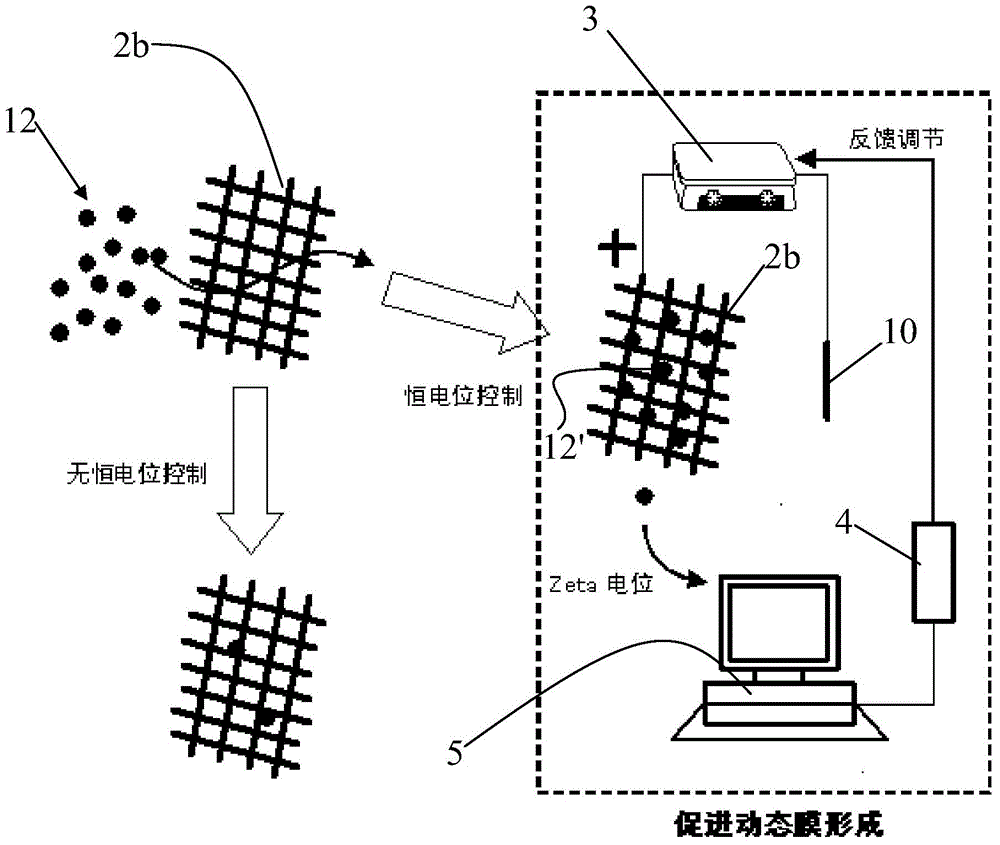 Dynamic membrane bioreactor regulating and control method and device based on surface constant potential control