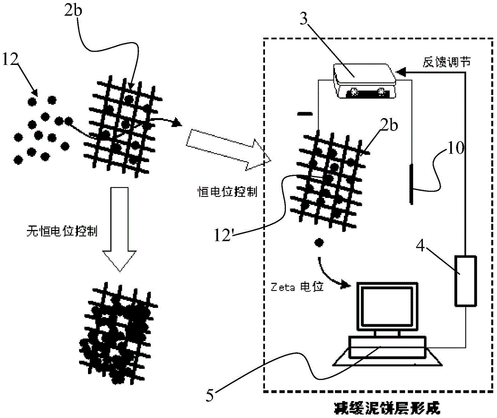 Dynamic membrane bioreactor regulating and control method and device based on surface constant potential control