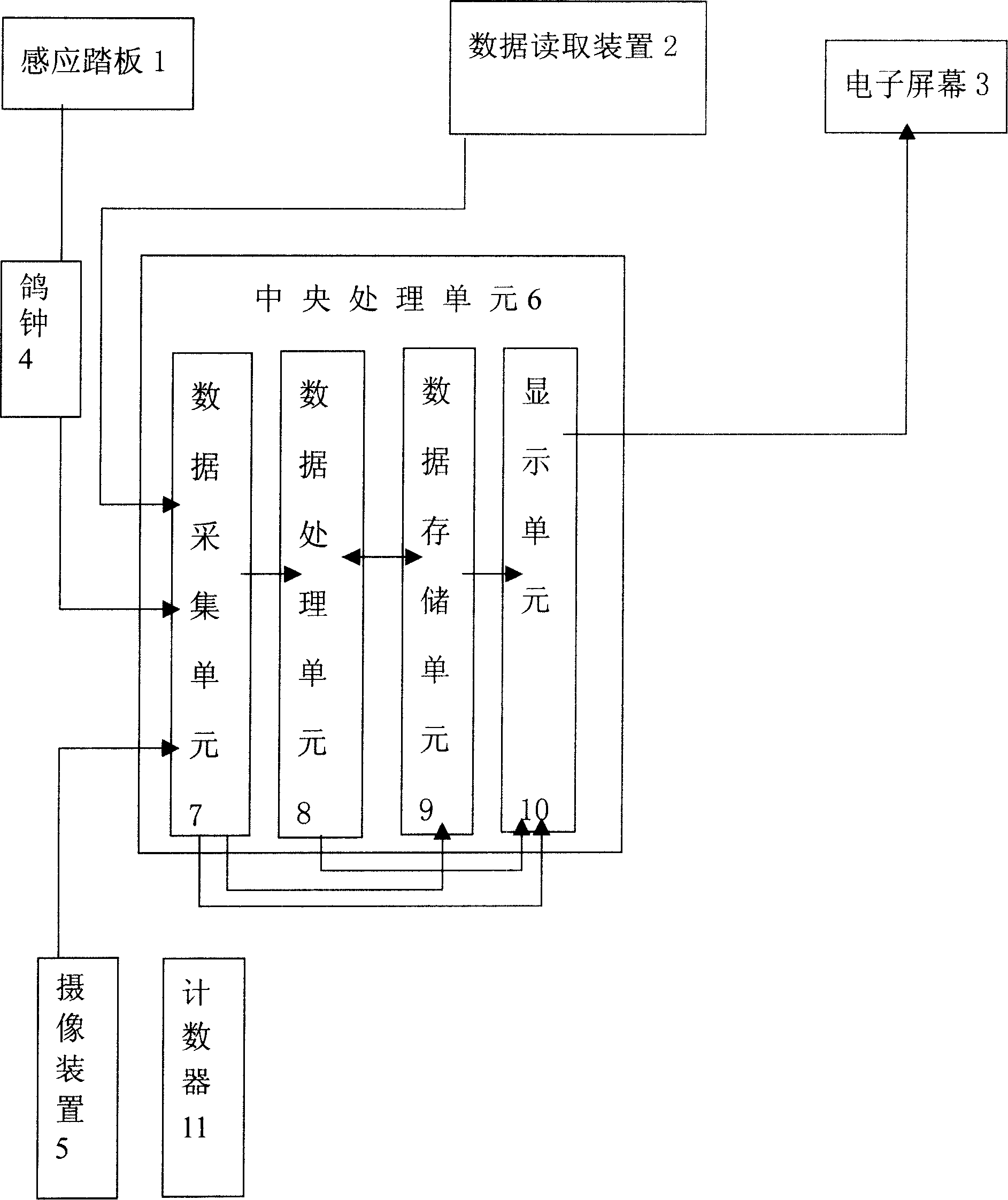 Homing pigeon competition management system and competition management method using the same