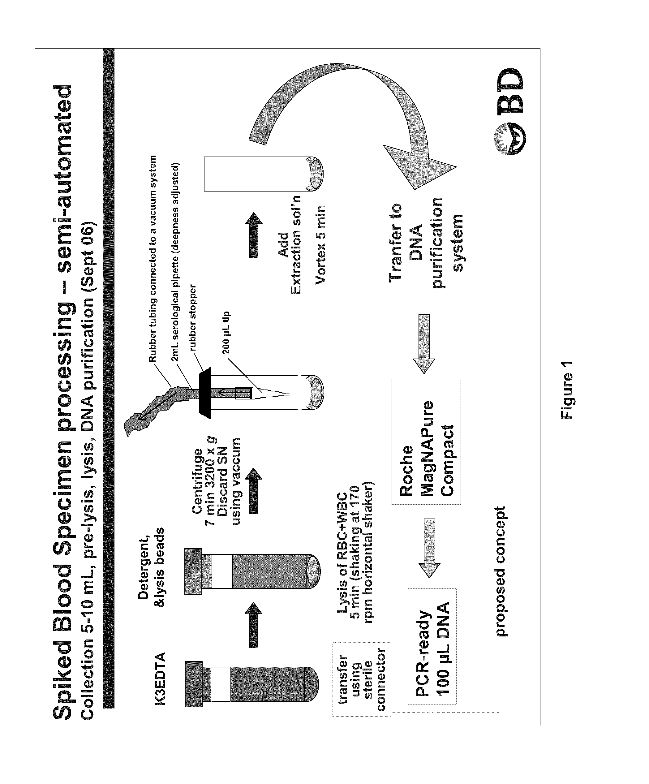 Enrichment & isolation of microbial cells & microbial nucleic acids from a biological sample