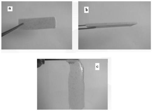 PVA (Polyvinyl Alcohol) sodium alginate dual-network cold-resistant conductive hydrogel and preparation method thereof