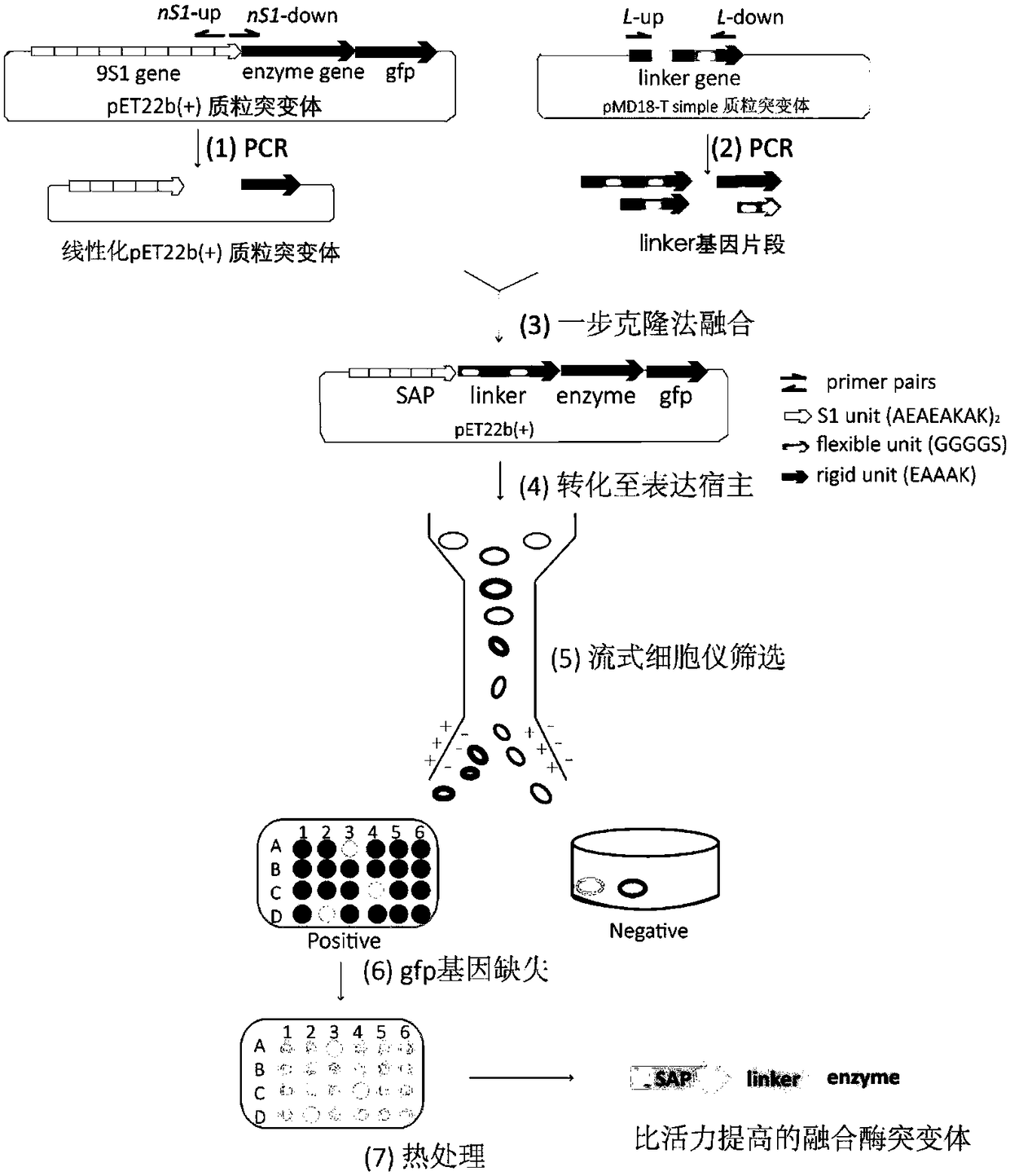 Method for obtaining enzyme mutant with high expression, high activity and high stability