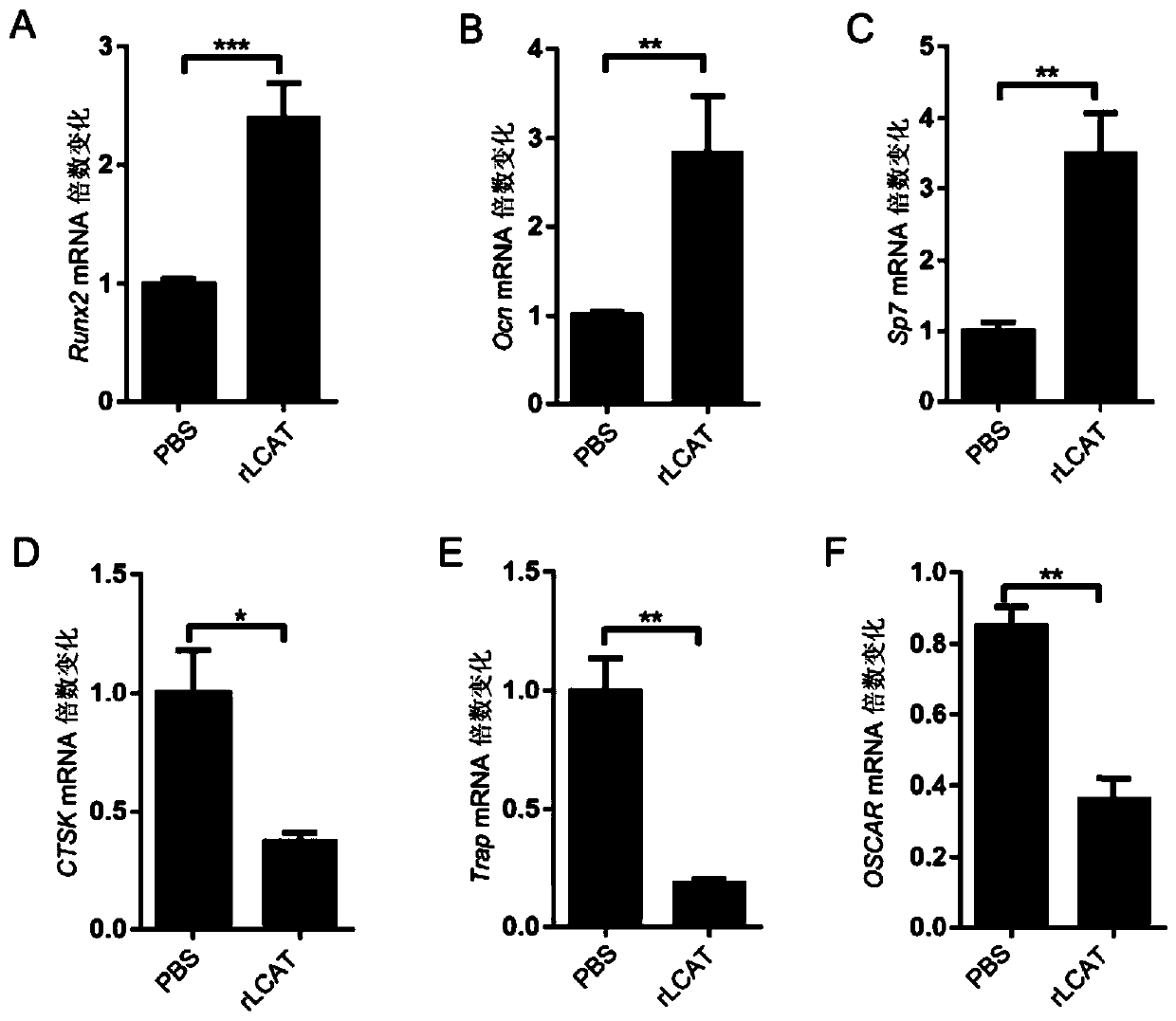 Use of lcat in the preparation of medicines for treating and/or preventing hepatic bone disease